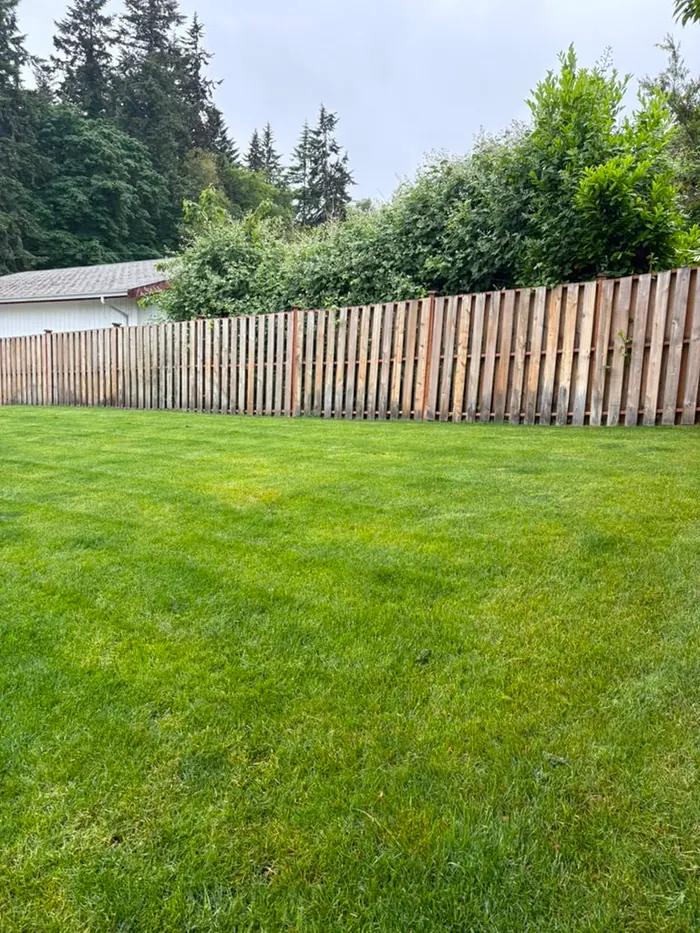 Before photo of lawn-side fence before staining