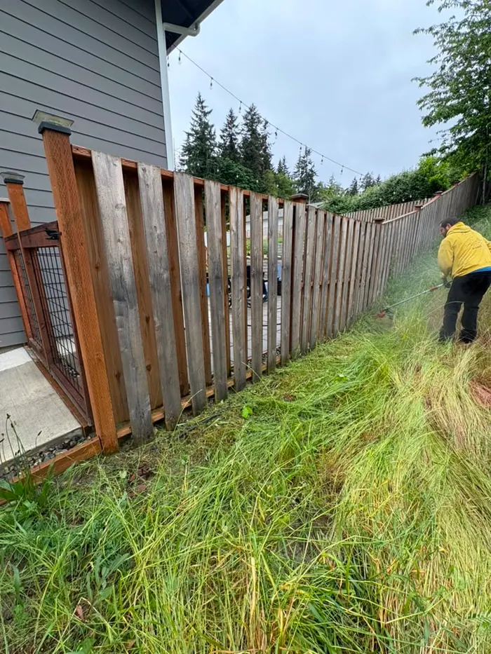 Fence cleaning and preparation before stain application
