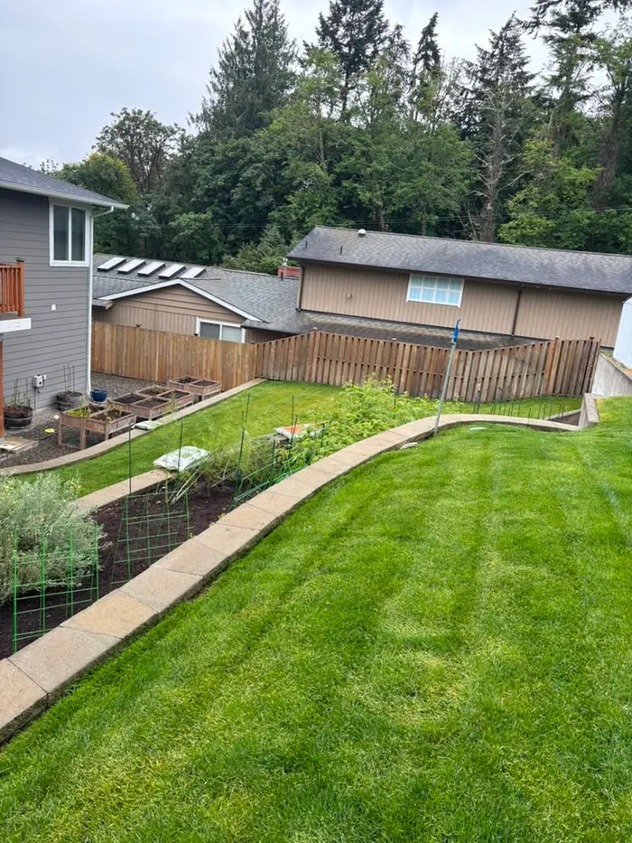 Upper yard view of fence before staining