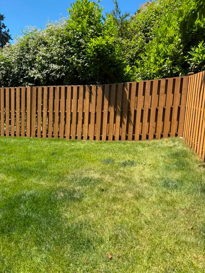 Finished curved backyard fence line with warm stain color